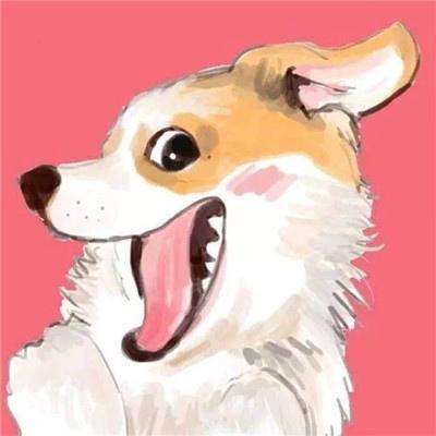 圣光之刃礼包手游下载