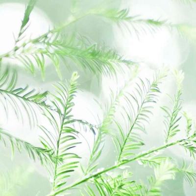 与门测试服下载